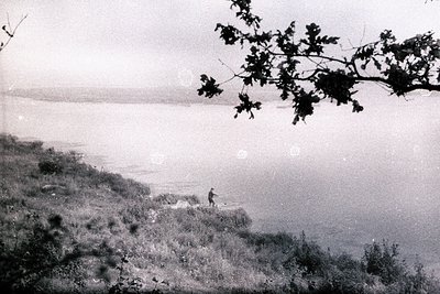 A lone figure stands on a rocky outcrop overlooking a vast body of water, likely the sea. Lush, overgrown vegetation covers a...