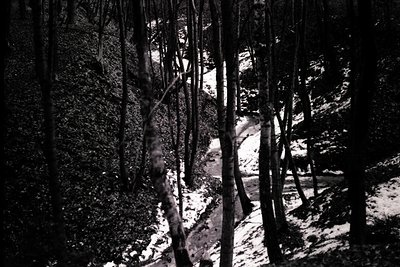 A stark, monochrome landscape depicts a snow-dusted gully framed by bare trees. The scene suggests a wintry, possibly mountai...