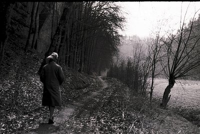 A solitary figure in a long coat walks along a leaf-strewn path bordered by dense trees and a snow-dusted field. A feeling of...