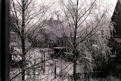 Icy branches dominate this monochrome image, showcasing a scene likely captured during a severe frost event. A glimpse of a t...