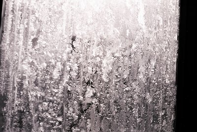 Detailed close-up showing intricate frost patterns on a window surface. The texture displays varied crystal formations, creat...