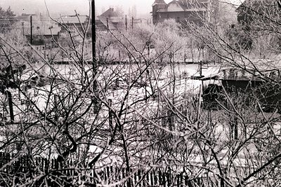 A monochrome photograph depicts a snow-covered scene, likely a residential area. Bare trees with detailed twig structures dom...