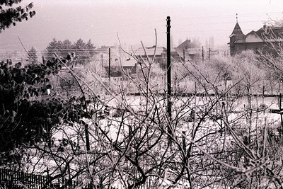 Icy, snow-dusted trees frame a village scene. Buildings with steeply pitched roofs & a church steeple dominate, hinting at a ...