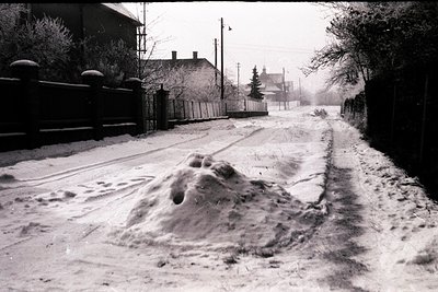 A snow-covered rural road, defined by clear boot prints, stretches into the distance. A snowdrift flanks a black fence. Visib...