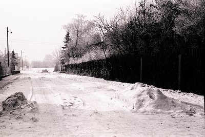 A snow-covered street scene, likely post-clearing, shows a tall, dark hedge lining the right side. Piles of snow are visible ...