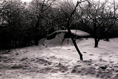 Monochromatic landscape featuring a traditional, heavily snow-laden building. Likely rural architecture, possibly a barn or s...