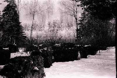 Snowy scene depicts a formal garden or estate. Evergreen and deciduous trees border a manicured lawn and snow-covered shrubs....