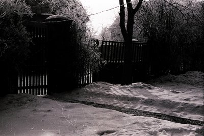 Snow-covered path leads toward a weathered wooden gate and fence, flanked by dense, snow-laden shrubs. A bare tree stands alo...