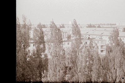 Mid-century Soviet-era apartment blocks with flat roofs and uniform balconies, framed by leafless poplar trees. Likely Easter...