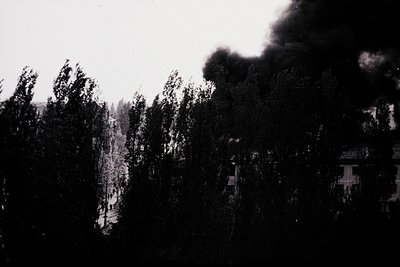 Black-and-white urban scene featuring dense smoke obscuring a street lined with trees and streetlights. Distant buildings and...