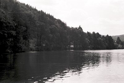 Black-and-white lakeside scene with dense forest framing a calm water surface, likely mid-20th century. Reflections of trees ...