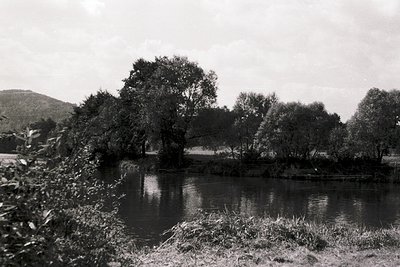 Black-and-white rural landscape featuring a serene pond surrounded by dense foliage and mature trees. Rolling hills and misty...