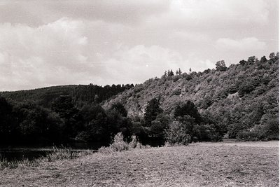 Black-and-white landscape featuring dense forest on rolling hills, framing a serene body of water with reeds along the shore....