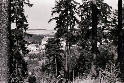 Black-and-white rural scene featuring dense coniferous forest framing a distant village. Mid-20th century architecture with s...