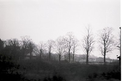 Black-and-white view of a foggy, rural landscape with leafless trees lining a gently sloping field. Distant buildings—likely ...