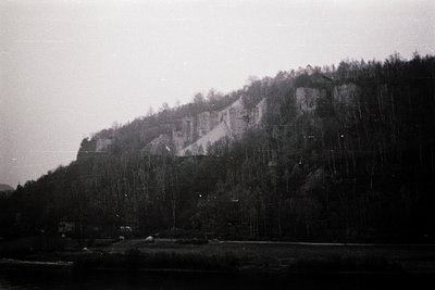 Black-and-white landscape featuring a steep, forested cliffside with exposed rock layers. Dense pine trees dominate the slope...