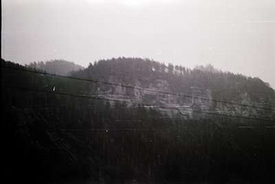 Vintage black-and-white shot of a forested hillside with dense tree cover under overcast skies. Faded film grain and slight b...