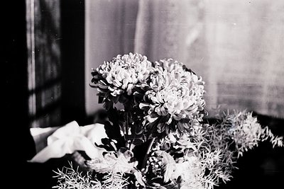 Vintage black-and-white bouquet of white chrysanthemums and greenery in a simple vase, backlit by natural light. Soft focus a...