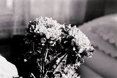 Vintage black-and-white bouquet of chrysanthemums in a simple glass vase, placed on a reflective surface. Soft focus and grai...