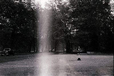 Sunlight filtering through dense tree canopy illuminates a quiet urban street, likely mid-20th century. Vintage car parked le...