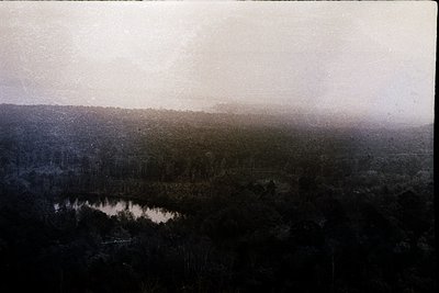 Vintage aerial view of dense forest with a winding river cutting through. Monochromatic, high-contrast tones suggest early 20...
