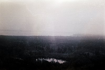 Vintage black-and-white aerial view of dense forest with a small, reflective water body below. Dense tree canopy dominates th...