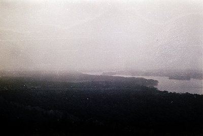 Vintage black-and-white aerial view of a coastal landscape with dense forest meeting a calm body of water, likely a lake or s...