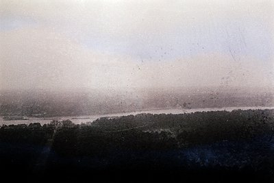 Vintage sepia-toned aerial view of a river winding through dense forest, likely early 20th century. Distinctive tree canopy a...