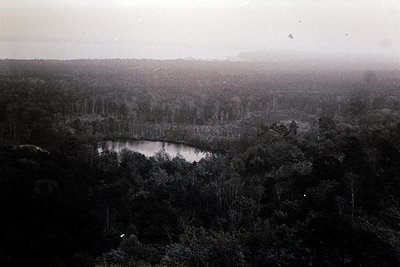 Vintage black-and-white aerial view of dense forest with a central lake, surrounded by rolling terrain. Dense foliage and wat...