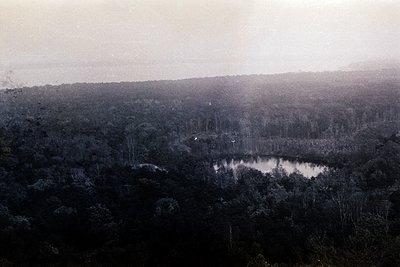 Vintage sepia-toned aerial view of dense forest with a central lake, likely captured mid-20th century. Dense tree cover domin...