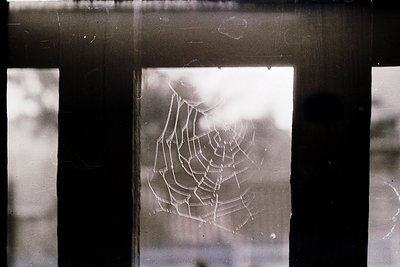 Vintage black-and-white close-up of an intricate spider web on a windowpane, framed by dark wooden or metal sashes. The web’s...