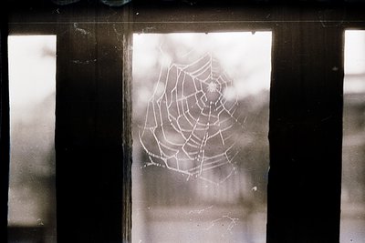 Close-up of a delicate spider web framed by a window sill, captured in monochrome. The intricate radial pattern contrasts aga...