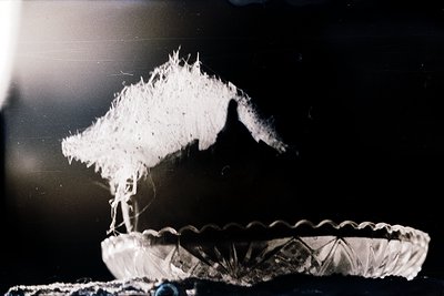 Vintage sepia-toned photo of a **handcrafted ceramic dish** with geometric, diamond-patterned rim. A **snow-covered pine bran...