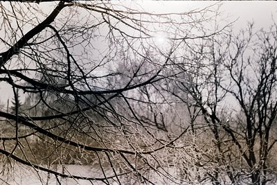 Vintage sepia-toned photograph of bare winter trees framing a misty, industrial landscape. Factory smokestacks release dark p...