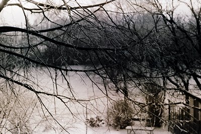 Black-and-white winter scene featuring leafless branches framing a snow-covered landscape. Bare trees and a partially obscure...