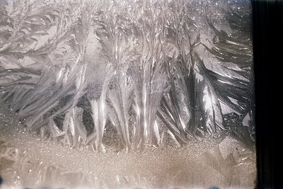Frost patterns on a windowpane, showcasing intricate ice crystal formations resembling tree branches. Likely captured indoors...