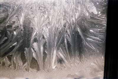 Frost patterns on a windowpane, intricate crystalline formations resembling delicate lacework. Likely captured indoors during...