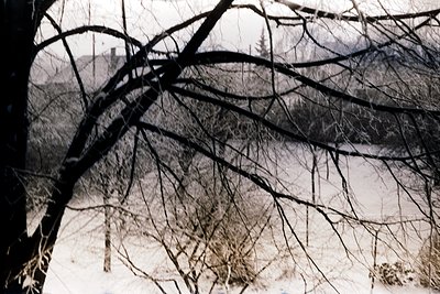 Black-and-white winter landscape featuring skeletal tree branches framing a snow-covered field. Distant, faint outlines of bu...