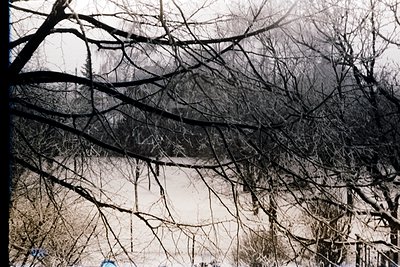 Vintage black-and-white shot of bare tree branches framing a misty, distant landscape. Dramatic composition highlights winter...
