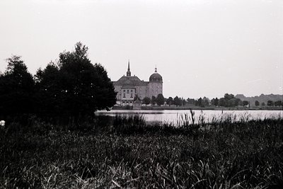 Neoclassical estate with twin domed towers and symmetrical façade framed by waterfront reeds. Black-and-white vintage shot, l...