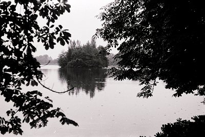 Black-and-white lake scene framed by overhanging branches, likely mid-20th century. Calm water reflects distant tree-covered ...