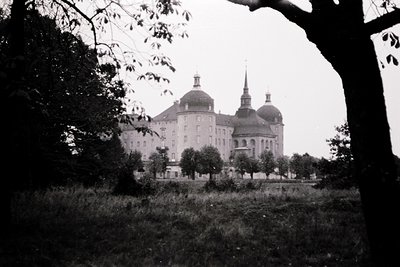 Baroque-style castle with domed towers framed by natural foliage, likely 18th-century European architecture. Symmetrical desi...