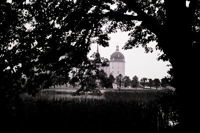 Classic black-and-white shot of a Baroque-style castle tower framed by dense foliage and a reflective water body. Architectur...