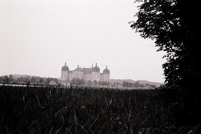 Historic castle with three domed towers framed by overgrown vegetation, likely 19th-century European architecture. Symmetrica...