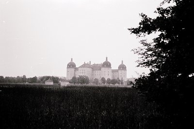 Neoclassical estate with symmetrical towers and domed roofs framed by overgrown vegetation, likely early-to-mid 20th century.