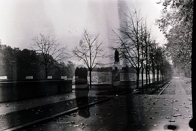 Vintage black-and-white street scene featuring a wet cobblestone road flanked by bare trees and a decorative stone wall with ...