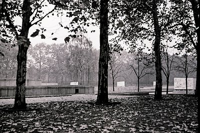 Black-and-white shot of a serene park pathway lined with leafless trees, covered in autumn foliage. Distant bleachers and ope...
