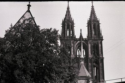 Gothic-style twin towers with pointed spires and intricate stonework, framed by dense foliage. Likely European cathedral or c...