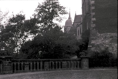 Black-and-white shot of a historic stone church with Gothic Revival spire, partially obscured by dense foliage. Foreground fe...