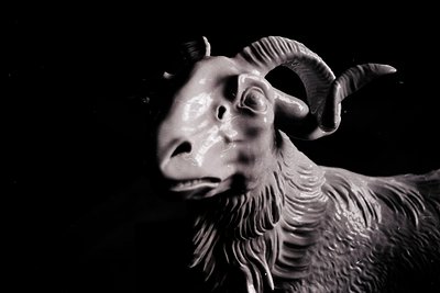 Monochrome sculpture of a ram’s head with exaggerated, spiraled horns and detailed wool texture. High-contrast lighting empha...